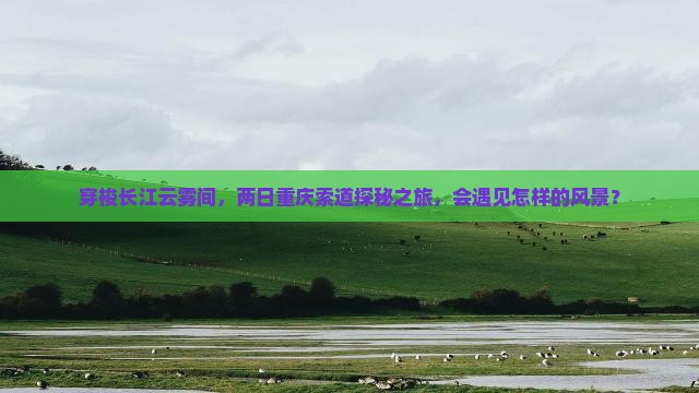 二月到重庆长江索道二日游 二月到重庆长江索道二日游