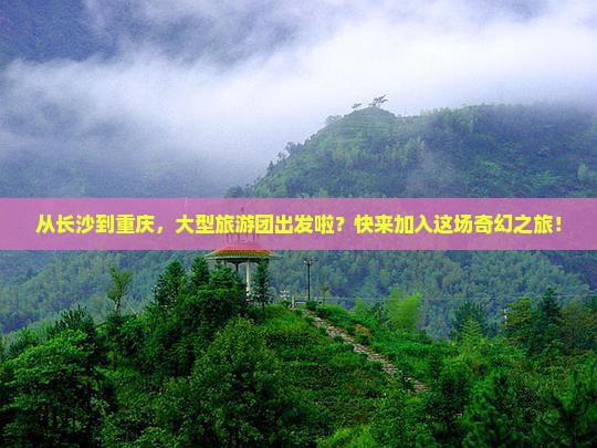 长沙去重庆大型旅游团 长沙去重庆大型旅游团