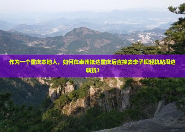 泰州去重庆李子坝轻轨站哪里玩