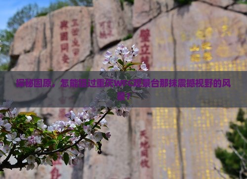 固原去重庆wfc观景台必去地