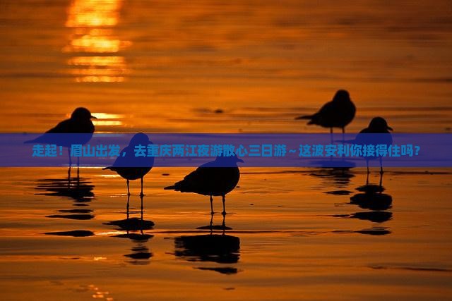 眉山去重庆两江夜游三日游 眉山去重庆两江夜游三日游
