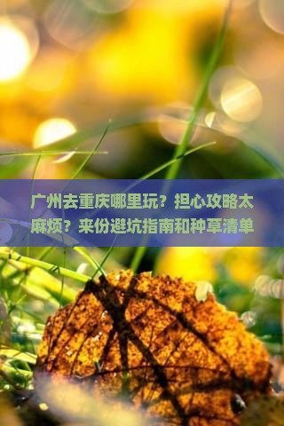 广州去重庆哪里玩