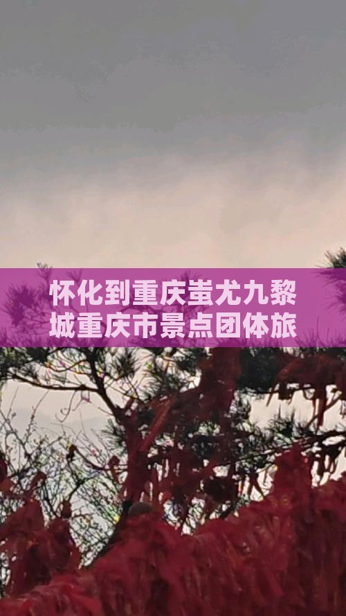 怀化去重庆蚩尤九黎城团体旅游