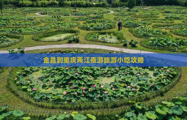金昌到重庆两江夜游旅游小吃