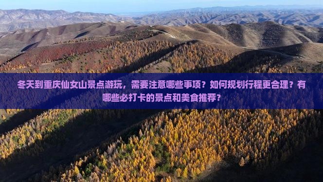 冬天到重庆仙女山景点