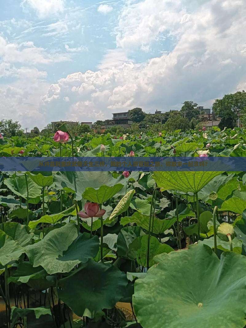 许昌去重庆武隆天生三桥个人游