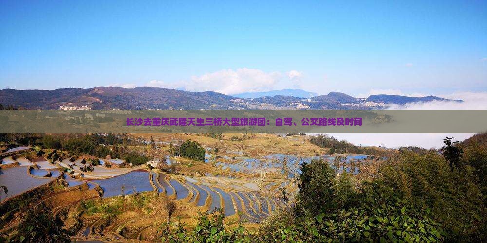 长沙去重庆武隆天生三桥大型旅游团