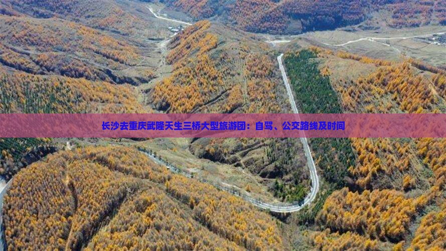 长沙去重庆武隆天生三桥大型旅游团