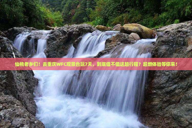 仙桃到重庆wfc观景台七日游