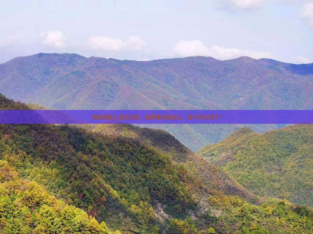 武汉到重庆仙女山六日游 武汉到重庆仙女山六日游