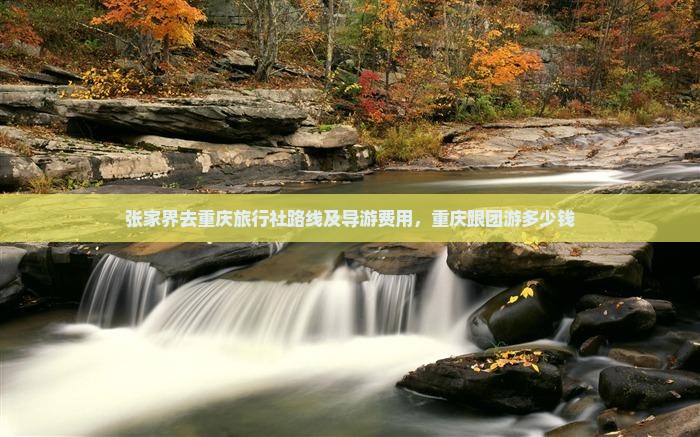 张家界去重庆旅行社