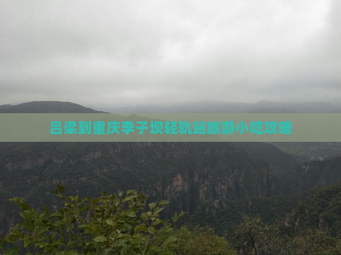 吕梁到重庆李子坝轻轨站旅游小吃