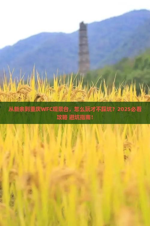 新余到重庆wfc观景台景点