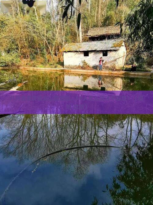 八月到重庆仙女山大型旅游团