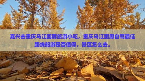 嘉兴去重庆乌江画廊旅游小吃