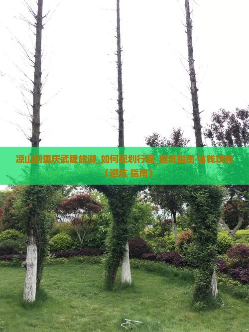 凉山到重庆武隆旅游