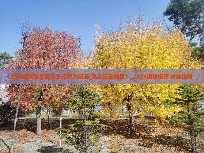 台州到重庆武隆天生三桥六日游