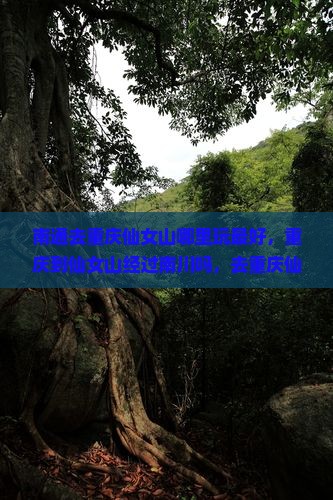 南通去重庆仙女山哪里玩