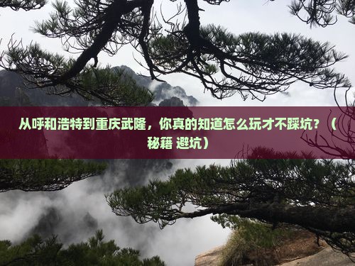 呼和浩特到重庆武隆景点