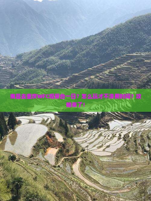 南昌去重庆wfc观景台一日