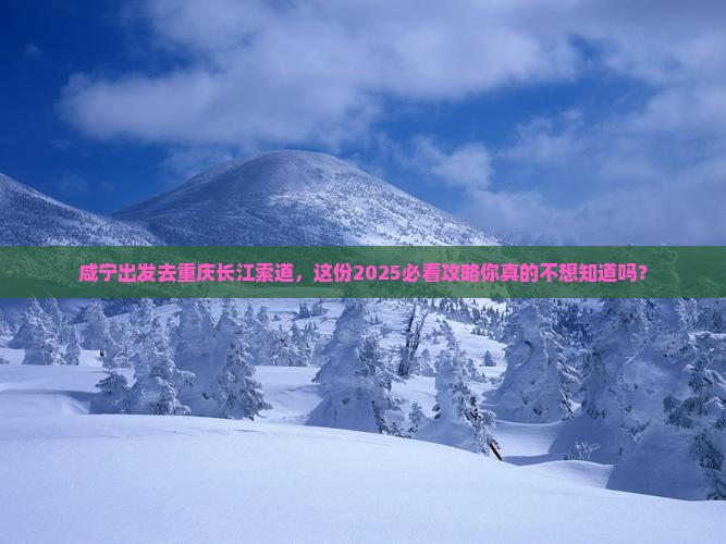 咸宁去重庆长江索道攻略