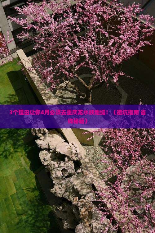 四月到重庆龙水峡地缝必去地