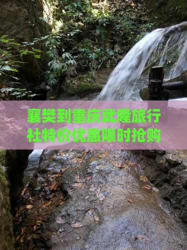 襄樊到重庆武隆旅行社