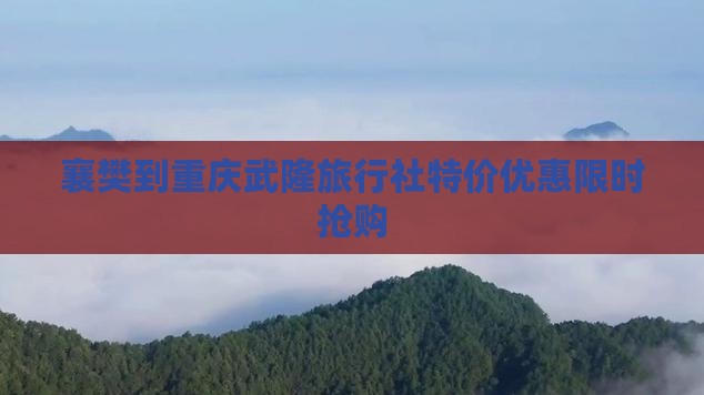 襄樊到重庆武隆旅行社