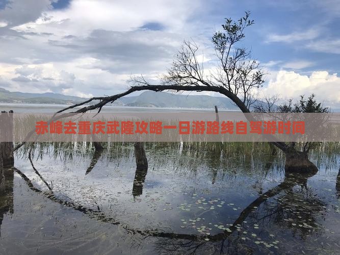 赤峰去重庆武隆攻略