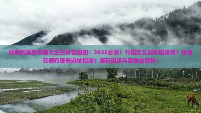 昆明到重庆武隆天生三桥自由团