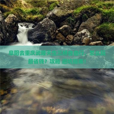 阜阳去重庆武隆天生三桥自由行