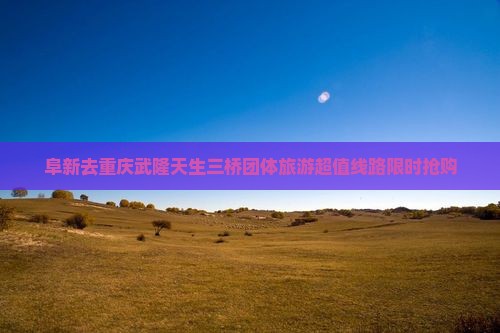 阜新去重庆武隆天生三桥团体旅游
