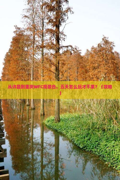 许昌到重庆wfc观景台五日游