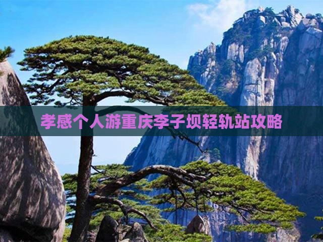 孝感去重庆李子坝轻轨站个人游