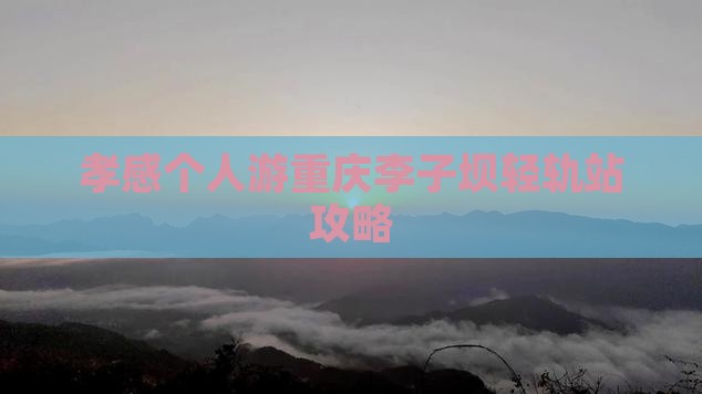 孝感去重庆李子坝轻轨站个人游