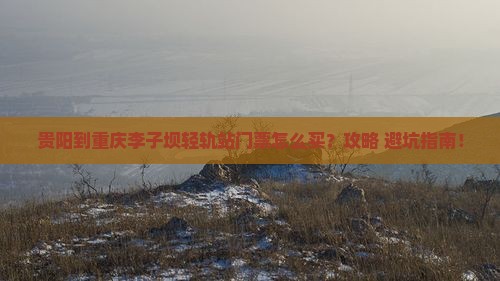 贵阳到重庆李子坝轻轨站门票