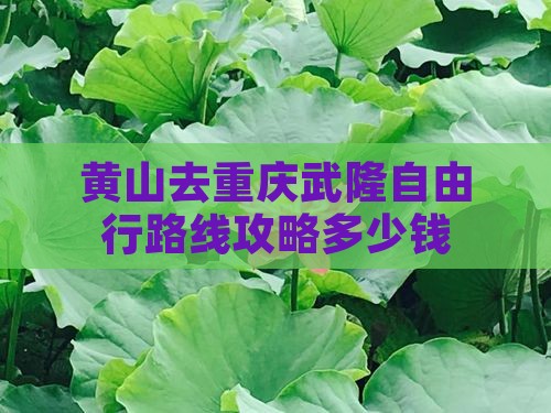 黄山去重庆武隆自由行