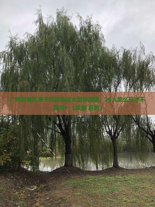 广州到重庆李子坝轻轨站大型旅游团