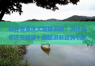 桂林去重庆大型旅游团