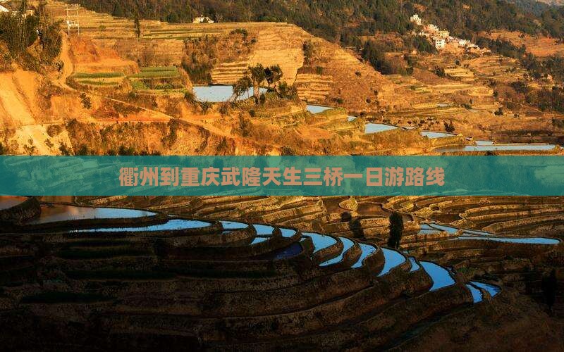衢州到重庆武隆天生三桥一日