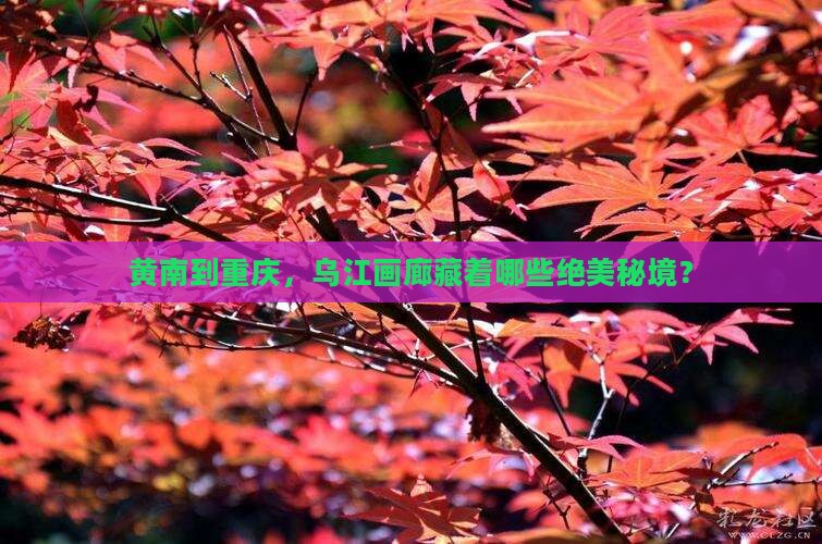 黄南到重庆乌江画廊必去地