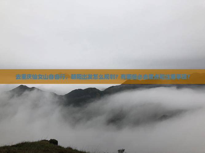 朝阳去重庆仙女山自由团
