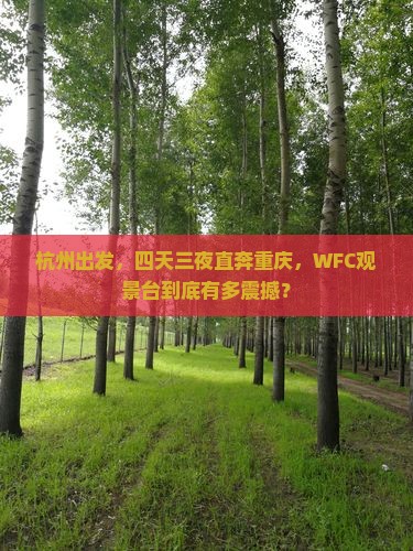杭州去重庆wfc观景台四日游