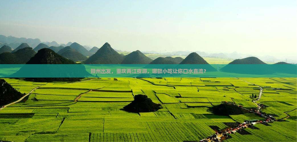 赣州到重庆两江夜游旅游小吃