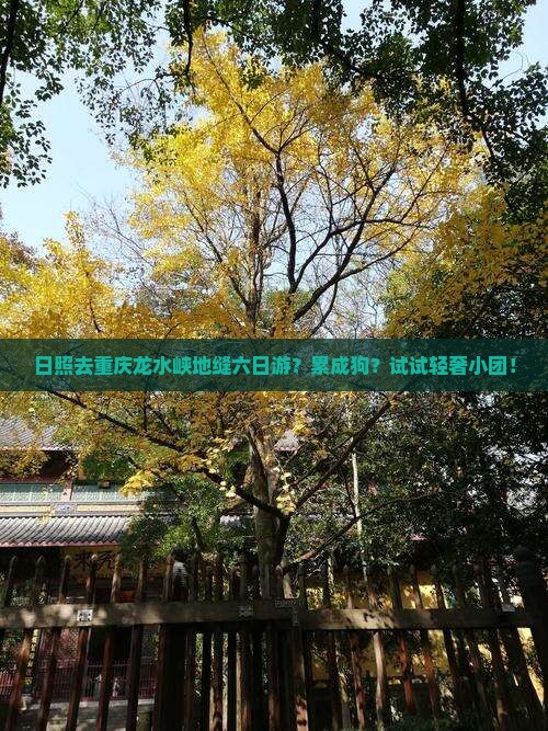 日照去重庆龙水峡地缝六日游