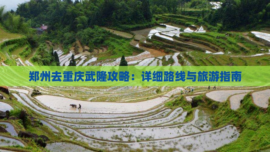 郑州去重庆武隆攻略