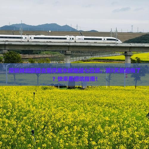 深圳去重庆龙水峡地缝七日游