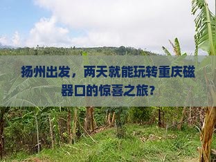 扬州去重庆磁器口二日游