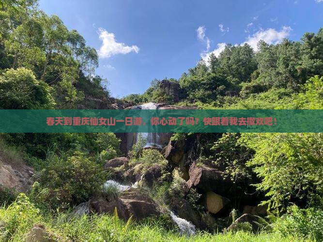 春天到重庆仙女山一日