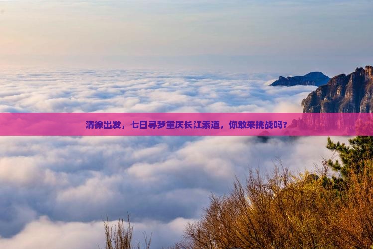 清徐到重庆长江索道七日游